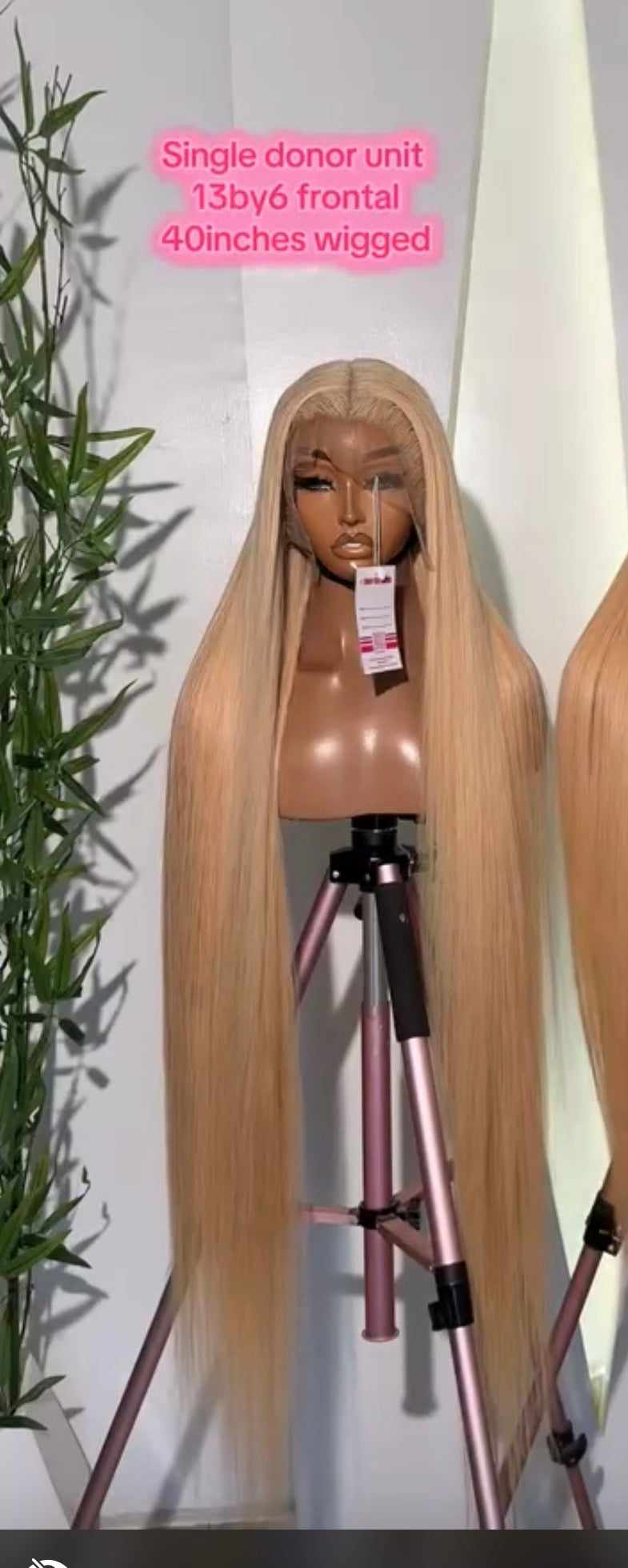 Single donor hair 40” full frontal wiiged