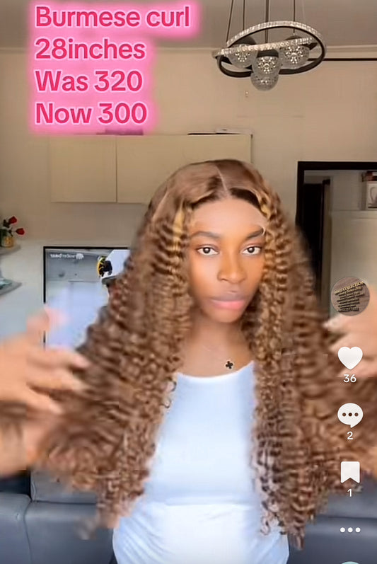 Burmese curl 28inches